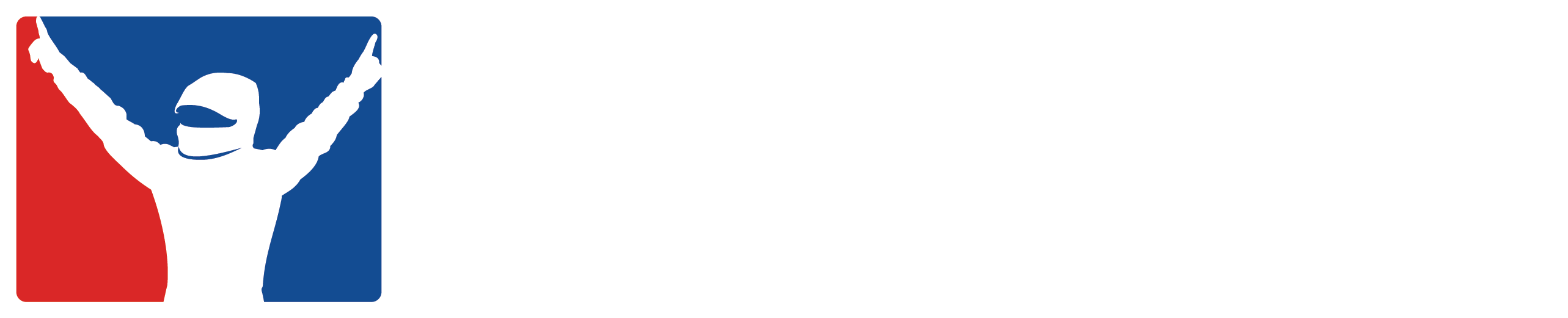 iRacing